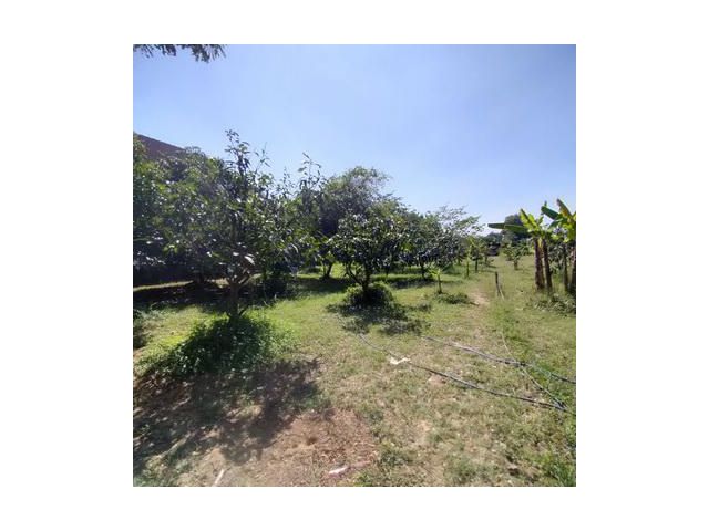 ที่ดินเปล่า 2 ไร่ 8 ตารางวา แสนแสบ เขตมีนบุรี กรุงเทพ