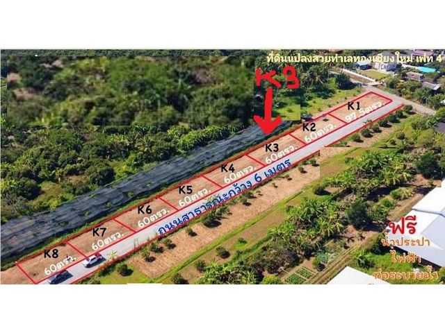 ขายที่ดิน65ว.580,000บ. ถนน ไฟฟ้า ประปา ต.ขัวมุง สารภี เชียงใหม่