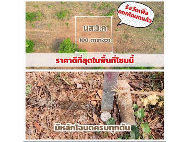 ╰┈►► ขายที่ดิน  100 ตรว 250,000 ตลาดต้นไม้โคกกรวด มทสประตู3