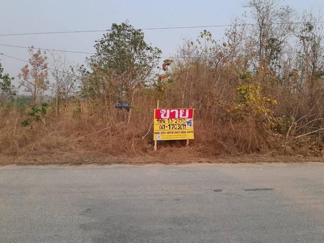 ขายที่ดินสวยติดถนนลาดยาง 13-2-73 ไร่  ตำบล นิคมพัฒนา จังหวัดลำปาง