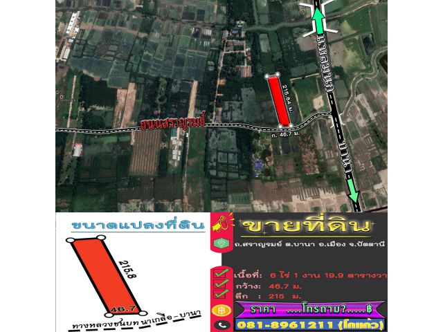 ขายที่ดิน - 6 ไร่  / นาเกลือ ถนนสราญรมย์ ซอยปั๊มปตท. อ.เมือง จ.ปัตตานี