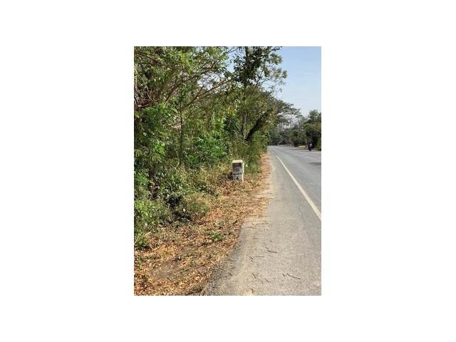 ที่ดิน ตำบลหนองโพธิ์ อำเภอหนองหญ้าไซ จังหวัดสุพรรณบุรี