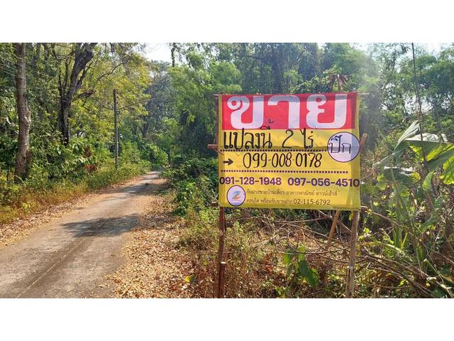 ขายที่ดินติดริมโขง 2ไร่ บ้านบอน ใกล้วัดเหล่าสินชัย  อ.เมือง จ.หนอ