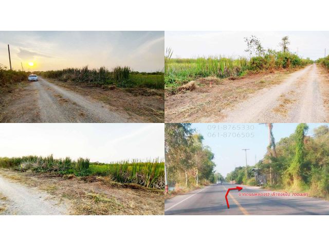 ขายด่วน! ขายที่ดิน 100ตรว คลอง12 ปทุมธานี ใกล้ถนนรังสิต-นครนายก เหมาะปลูกบ้านทำสวน โกดัง ขายราคาถูก