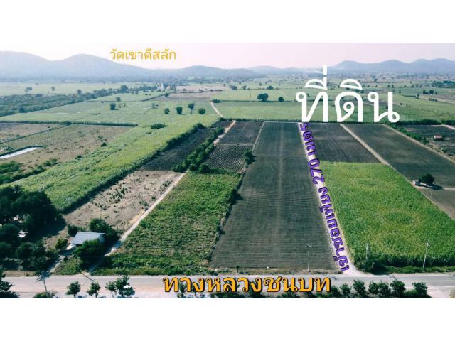 ขายที่ดิน 227 ตรว. เหมาะสร้างบ้านสวน ราคาไม่แพง มีเพื่อนบ้าน ไฟฟ้าปะปาพร้อม