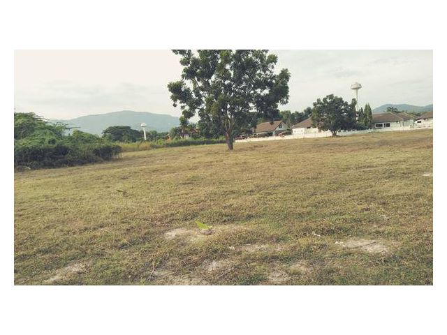 ขายที่ดินหัวหินราคาถูก อยู่ใน หัวหิน ซ.6 มีหมู่บ้านฝรั่งล้อมรอบ โทร 0905296194