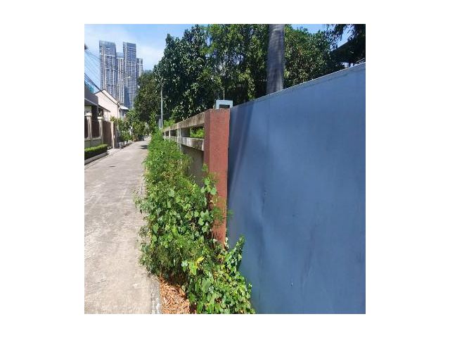 ขายที่ดิน ถนนสุขุมวิท101/1 วชิรธรรมสาทิต 191 ตร.ว แปลงสี่เหลี่ยมหน้ากว้าง ที่สวยทำเลดีมาก เหมาะลงทุน