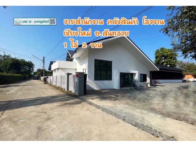 ขายสำนักงาน คลังสินค้า โรงงาน เชียงใหม่ อ.สันทราย 1 ไร่ 2 งาน