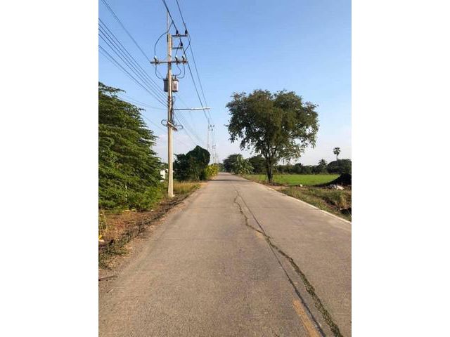 ที่ดินตำบลบ่อเงิน อำเภอลาดหลุมแก้ว ปทุม 5ไร่ ขายเช่า  ขายที่จ.ปทุ