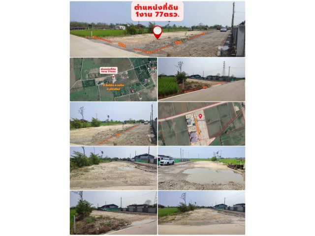 >>> ที่ดิน สี่เหลี่ยมแปลงสวย ถมแล้ว ติดถนนยางดำ 177ตรว สันโป่ง แม่ริม เชียงใหม่