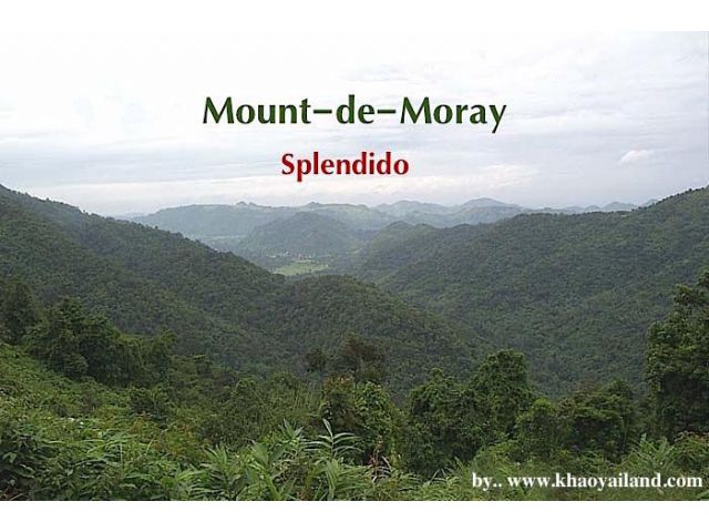 Mount-de-Moray แบ่งขายที่ดินสวยพัฒนาอย่างดี บนที่เนินเขาสูงกว่า 450 เมตร (ระดับน้ำทะเล) แบ่งขายเหลือเพียง 1 แปลงเท่านั้น