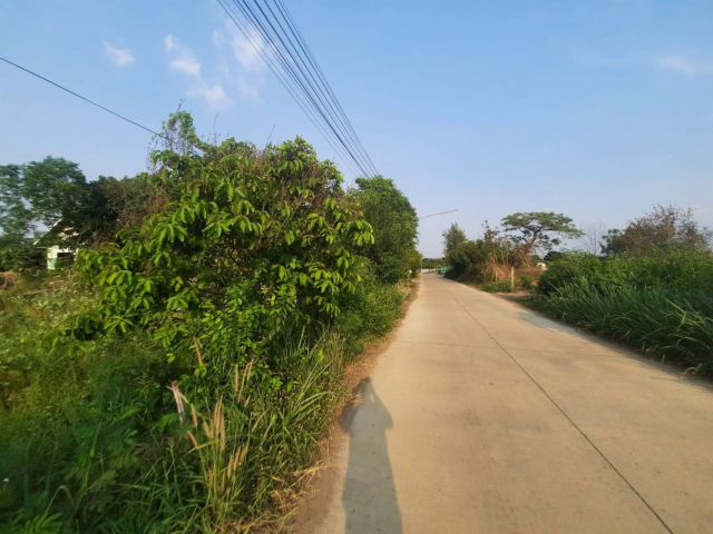 ขายที่ดินหัวสำโรง 4 ไร่ ใกล้เทศบาลหัวสำโรง - 6 กม. แปลงยาว ฉะเชิงเทรา