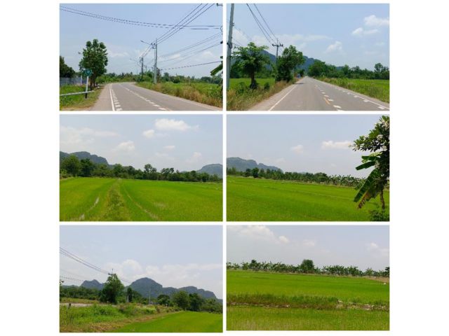 ขายที่ดินโฉนด 9ไร่ 3งาน ทำเลดี เเปลงสวย หน้ากว้าง ประปา ไฟฟ้าสามเฟส เขตชุมชน อุดมสมบูรณ์ วิวเขาสวย ปากท่อ ราชบุรี