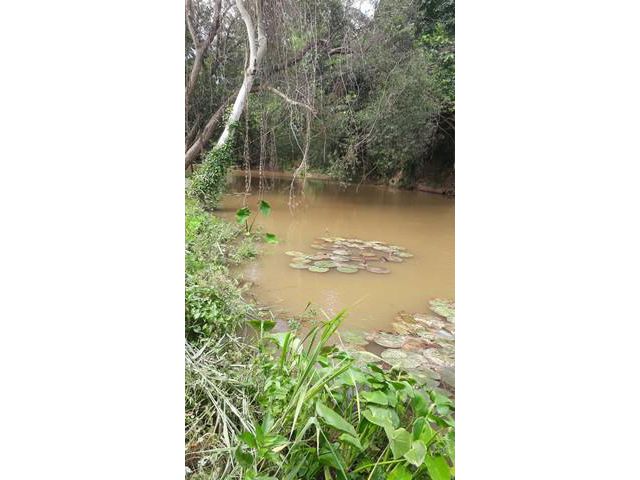 ที่ดินมีโฉนดกรรมสิทธิ์ นส.4 อยู่ตรงข้ามเทศบาลปากช่อง