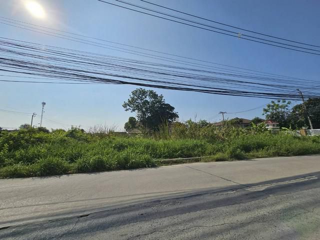 ขายที่ดิน บางนา ศรีด่าน22 ติดถนนเส้นหลัก 100วา ใกล้เมกะ