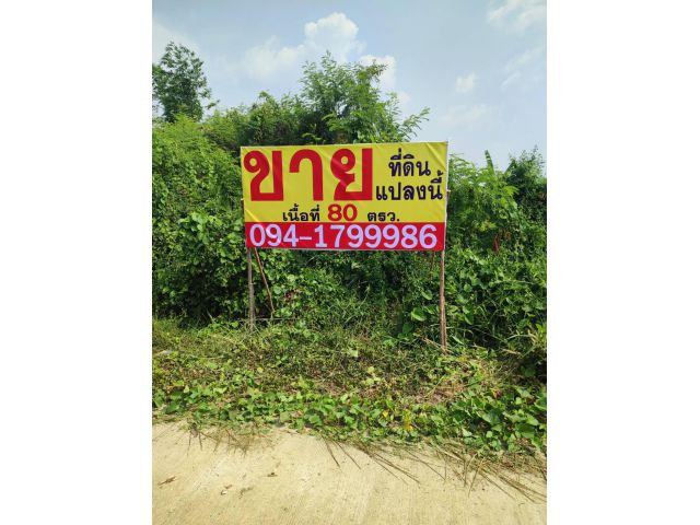 ขายที่ดินเปล่า คลองหลวง (คลองหก) ติดถนนในซอย ขายราคาพิเศษ