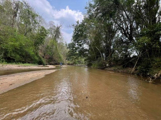 ขายที่ดินติดลำธารบนเนินภูเขาบ้านแม่ขานสะเมิงพร้อมโอน