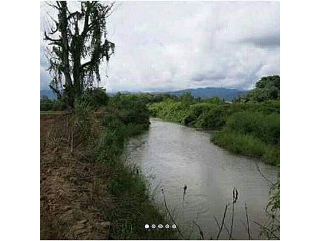 ขายที่ดินติดน้ำปิงเชียงดาววิวดอยหลวงโฉนดพร้อมโอน