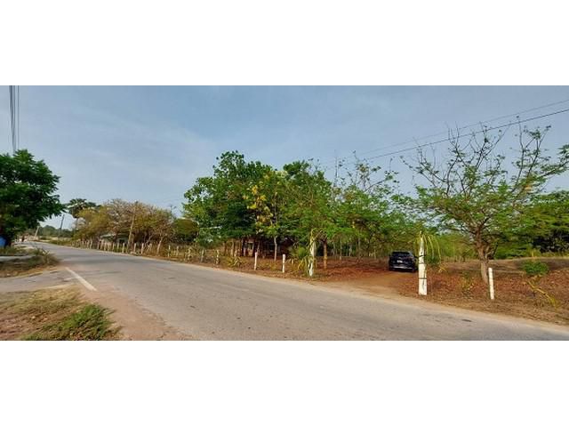 ขายที่ดิน 4 ไร่ ต.หนองประดู่ อ.เลาขวัญ จ.กาญจนบุรี