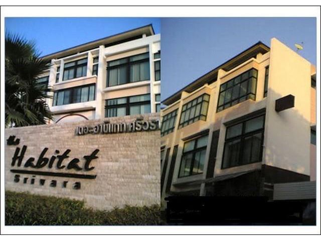 PJD06 ขาย โฮมออฟฟิศ 3.5 ชั้น เดอะฮาบิแทท ศรีวรา (Habitat) ทาวน์อินทาว ลาดพร้าว 94 เขตวังทองหลาง ใกล้เลียบด่วนเอกมัย-รามอ