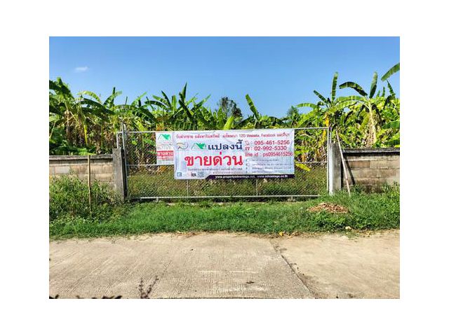 ขายที่ดินเปล่า 1-3-55 ไร่ ต.บัวสลี อ.แม่ลาว จ.เชียงราย