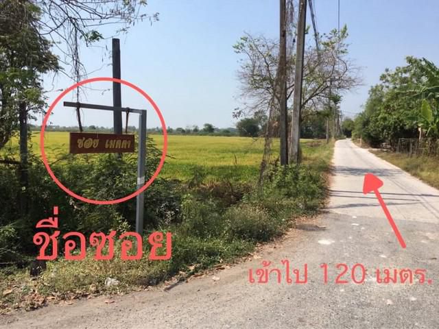 ขายที่ดิน บางอ้อ อ.บ้านนา นครนายก 15-02-06 ไร่