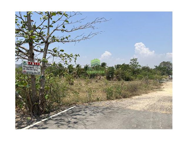 ขายที่ดิน เนื้อที่ 212 ตร.ว ถนนทางหลวงชนบท 1045 ซอยสำนักทางหลวงชนบทที่ 4 ตลาดสดเทศบาลนายาง เพชรบุรี เขาใหญ่ ชะอำ เพชรบุร
