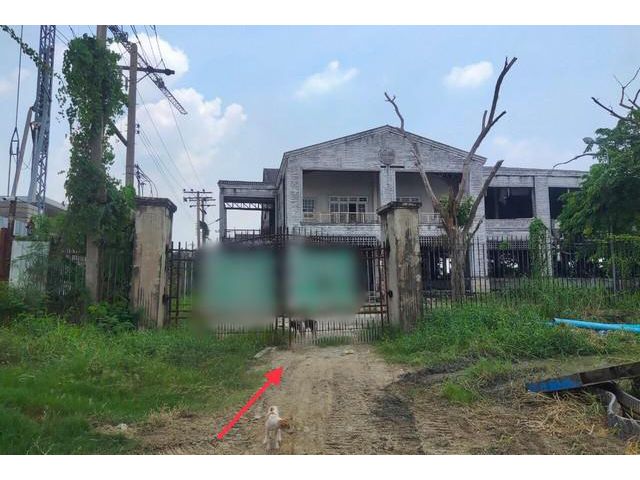 ขายที่ดินว่างเปล่า   หมู่บ้านการ์เด้นซิตี้โปโล ลพบุรี
