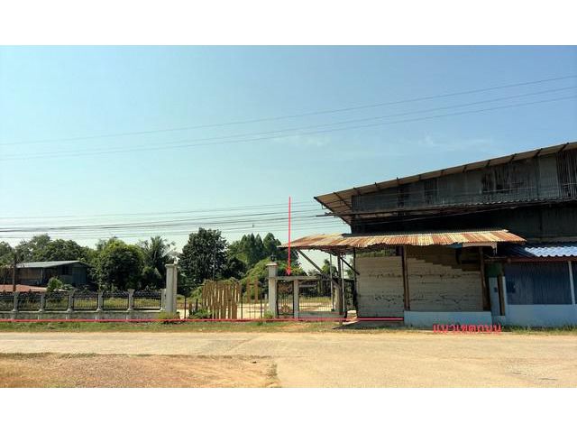 ขายโกดัง เนื้อที่ 4-3-66 ไร่ อำเภอ สรรพยา จังหวัด ชัยนาท