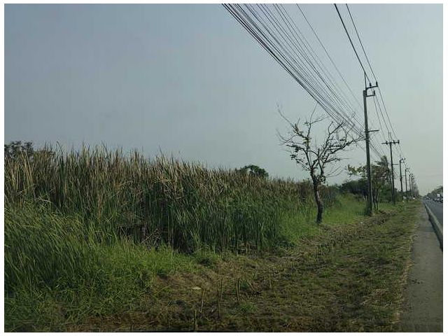 ขายที่ดิน 3 ไร่ ติดถนนร่วมพัฒนา ใกล้ถนนสุวินทวงค์