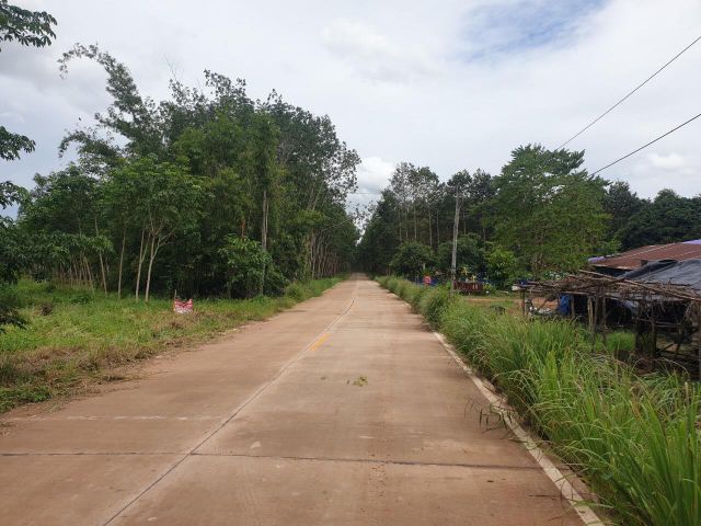ขายที่ดินด่วนถูกๆใกล้ถนน 4 เลนบ้านค่ายวันจันทร์ 1กม.