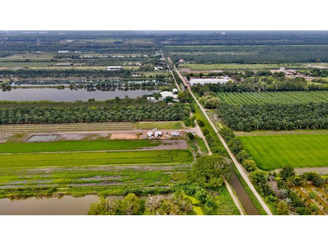 ขายที่ดินคลอง8 200 ตรว. บึงบอน ยกแปลง 850,000 บาท ใกล้ถ.4001 - 400 เมตร อ.หนองเสือ จ.ปทุมธานี