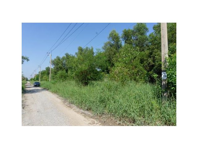 ขาย ที่ดินเปล่า 120 ตร.วา อำเภอไทรน้อย บนถนนเส้น 346 เหมาะสร้างบ้