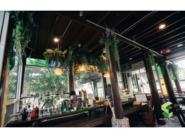 ️Hot Deal Investment Location️ Land for Sell 10 rai at Phanasom Cafe&Resort nearby Mahidol University Salaya