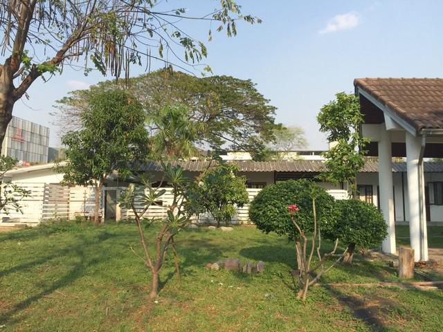4 ห้องนอน 4 ห้องน้ัา ที่ดิน 1.5 ไร่  ปุณณวิถี สุขุมวิท 101