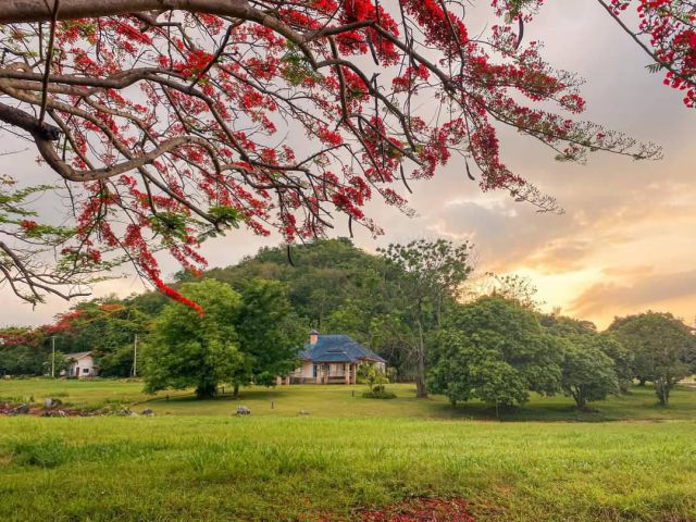 ขายบ้านเขาใหญ่ หมูสี 461 ตร.ว บ้านติดน้ำ ติดเขา ในโครงการวู๊ดปาร์ค ปากช่อง ธนะรัชต์ ใกล้อุทยานแห่งชาติเขาใหญ่ โครงการดีม