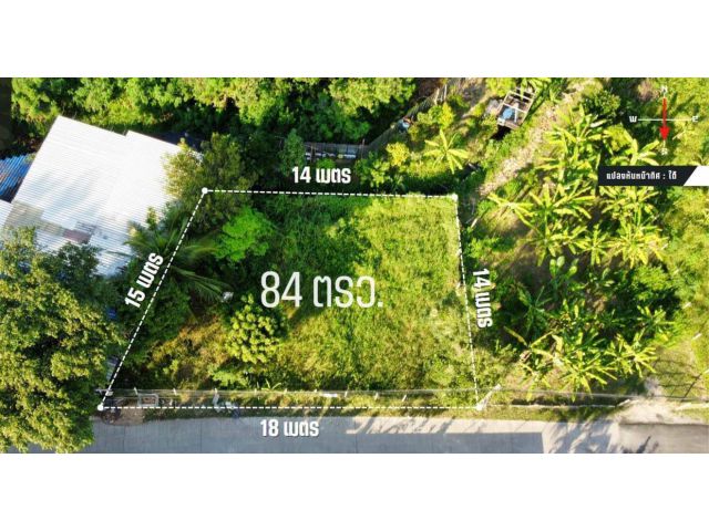 ที่ดินใกล้แยกพืชสวนโลก : 84 ตรว. ราคายกแปลง : 1,600,000