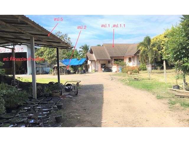 ขายบ้านเดี่ยวชั้นเดียว ใกล้โรงพยาบาลโนนแดง อ.คง จ.นครราชสีมา