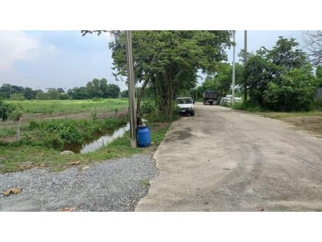 ที่ดินหนองจอก