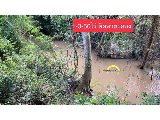 ที่ดินติดลำตะคอง หมูสี ปากช่อง เขาใหญ่ 1ไร่ 3งาน 50ตรว หน้าวิวเขาใหญ่และถนนสาธารณะ หลังติดลำตะคอง