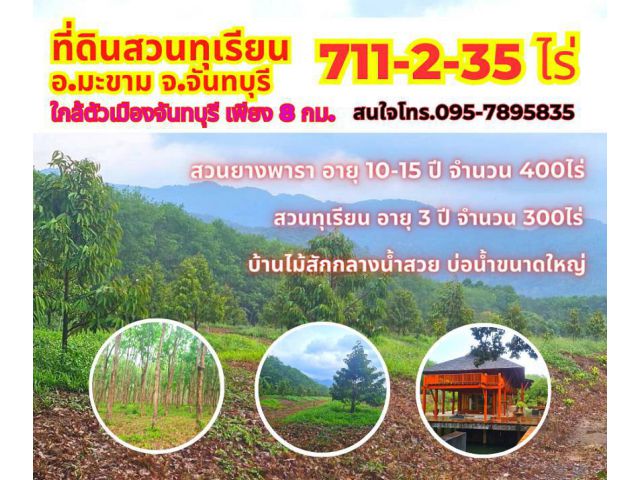ขายที่สวนทุเรียน จันทบุรี 711-2-35ไร่ ติดเนินเขาสวย ใกล้เทศบาลเมืองจันทบุรี เพียง 8 กม.