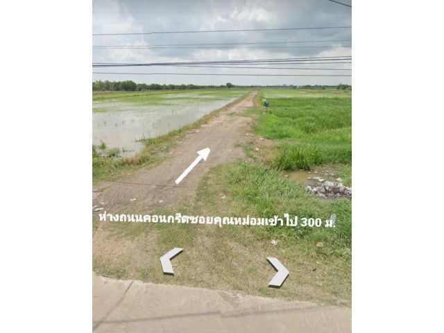 ที่ดินว่างเปล่า 50 ตรว.ขาย 90,000 บาท ฟรีโอน