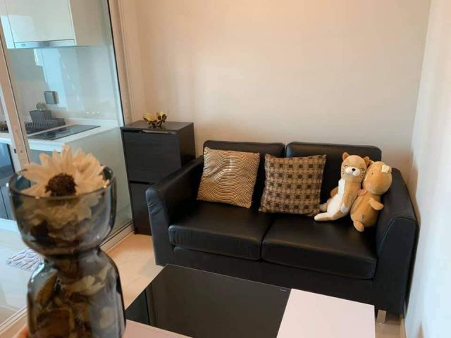The Tree Sukhumvit 71-Ekkamai for rent 1 bedroom 1 bathroom 27 sqm. rental 12,000 baht/month