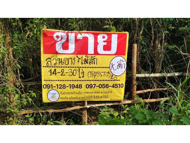 ขายสวนยาง+ไม้สัก 14-2-30ไร่ ห่างจากถนนแจ้งสนิท2 กม.  อ.เมือง จ.ยโ