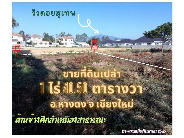 ขายที่ดินเปล่าขนาด 1 ไร่ 40 ตารางวา ต. สันผักหวาน อ.หางดง จ.เชียง