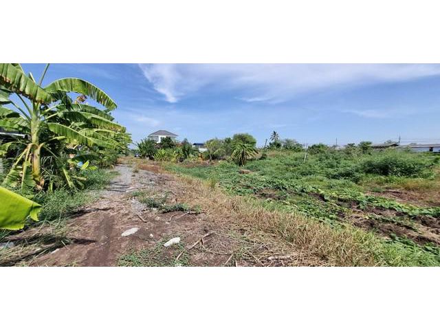 ขายที่ดินบางบัวทอง 100 ตร.ว.นนทบุรี ราคาดีมาก