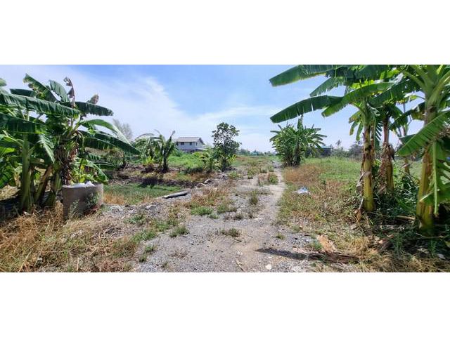 ขายที่ดินบางบัวทอง 200 ตร.ว.นนทบุรี
