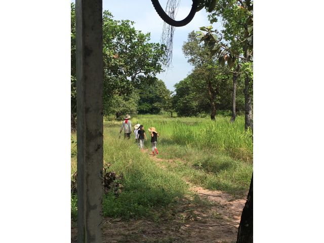 ขายที่นาหลุ่ม 6 ไร่ 3 งาน 20 ตารางวา