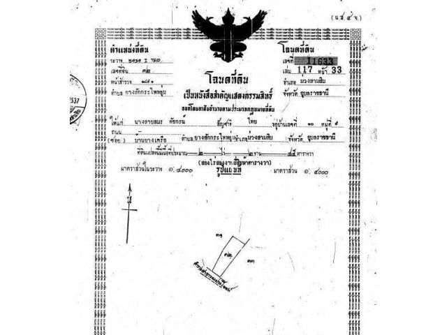 ขายที่นาหลุ่ม 6 ไร่ 3 งาน 20 ตารางวา