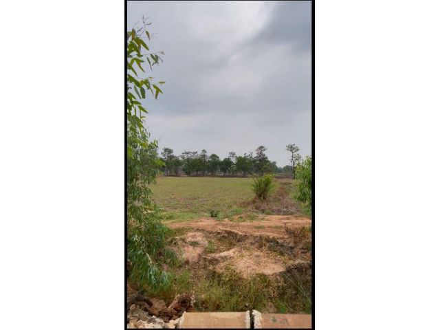 ขายที่นาหลุ่ม 6 ไร่ 3 งาน 20 ตารางวา